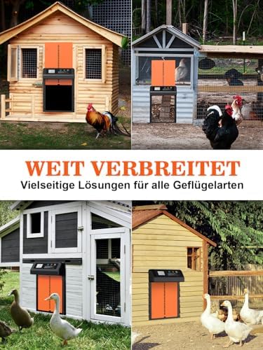 Automatische Hühnerklappe von – Aluminiumlegierung, LCD-Display, anti-klemmt, ideal für Hühnerfreilauf