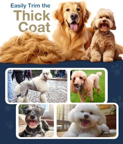 oneisall Leise Hundeschermaschine für dickes Fell – IPX7 wasserdicht, ideal für Profis und Langhaarkatzen!