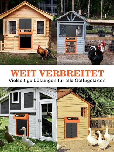 Automatische Hühnerklappe von – Aluminiumlegierung, LCD-Display, anti-klemmt, ideal für Hühnerfreilauf