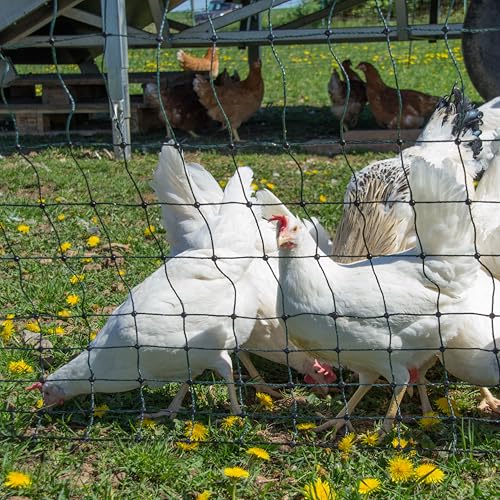 horizont Hühnerzaun strongLine 50m - Mobiler Geflügelzaun 120cm hoch, 15 Fiberglaspfähle, ideal für Garten und Tierhaltu